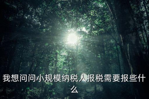 我想問問小規(guī)模納稅人報(bào)稅需要報(bào)些什么