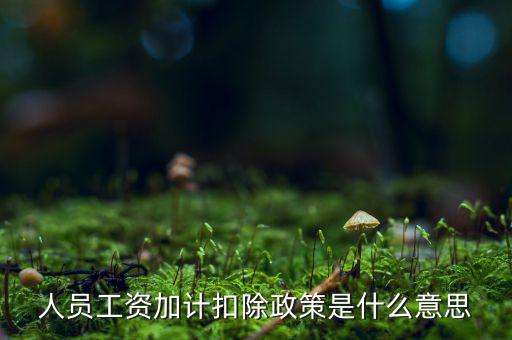 加計(jì)扣除有什么條件，人員工資加計(jì)扣除政策是什么意思