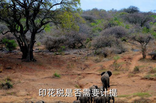 印花稅為什么不計(jì)提，印花稅要計(jì)提嗎