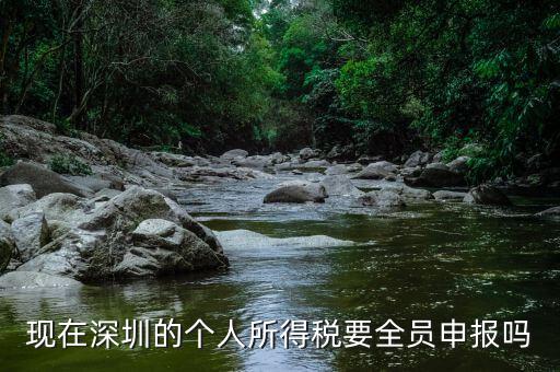 深圳為什么要個稅申報，外地企業(yè)如何在深圳為什么還要繳納個人所得稅1