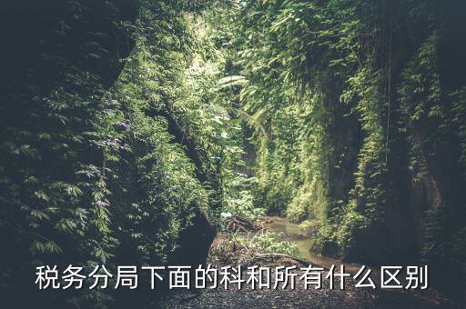 稅局計統(tǒng)科是什么意思，稅務分局下面的科和所有什么區(qū)別