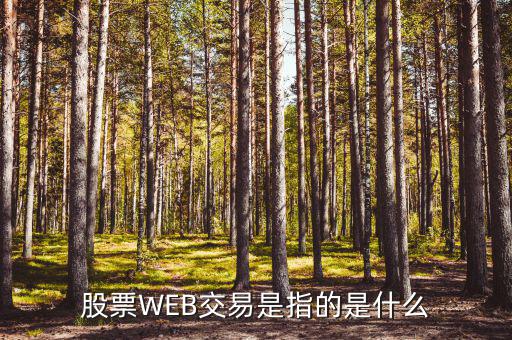 股票WEB交易是指的是什么