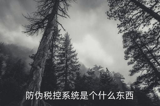 防偽稅控系統(tǒng)是個什么東西