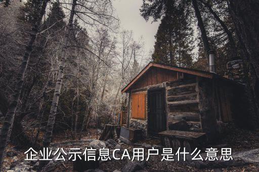 納稅人ca用戶是什么意思，什么是CA用戶啊