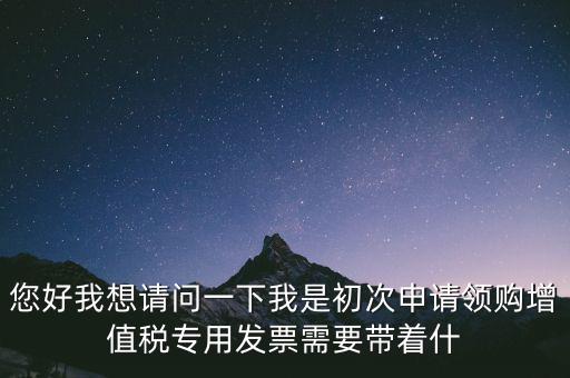 您好我想請問一下我是初次申請領購增值稅專用發(fā)票需要帶著什