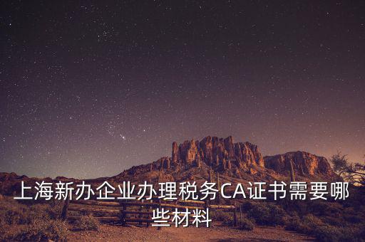 2014年7月份上海稅務局還需要審什么證，上海新辦企業(yè)辦理稅務CA證書需要哪些材料