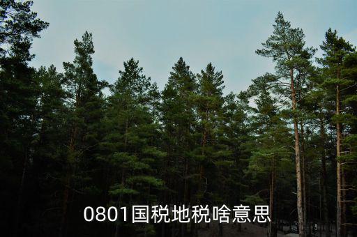 鹽城地稅三化是什么意思，地稅三優(yōu)兩促進(jìn)是什么意思