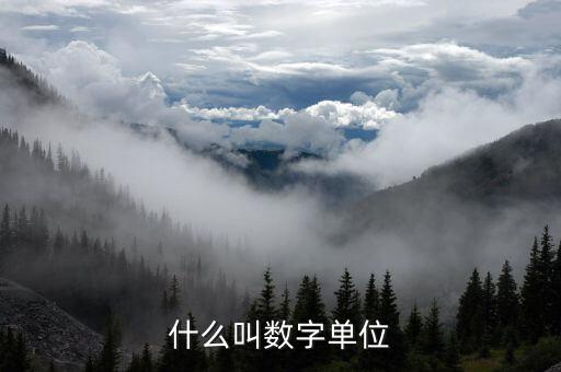 什么叫數(shù)字單位