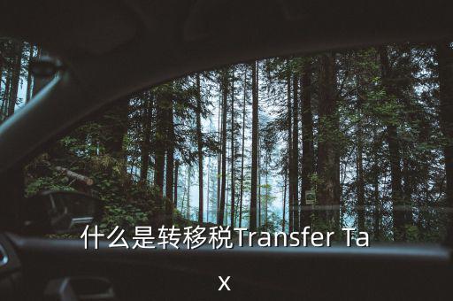 什么是跨地區(qū)稅收轉(zhuǎn)移企業(yè)，什么是轉(zhuǎn)移稅Transfer Tax