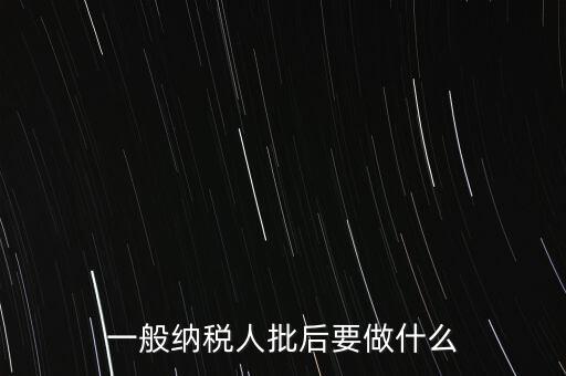 一般納稅人批后要做什么