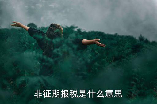 非征期報稅是什么意思