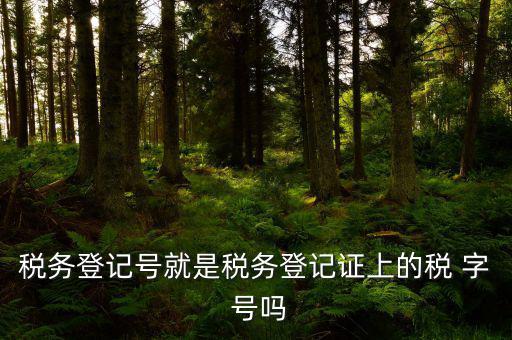 稅務登記證是什么字體，稅務登記證上的這是什么字體