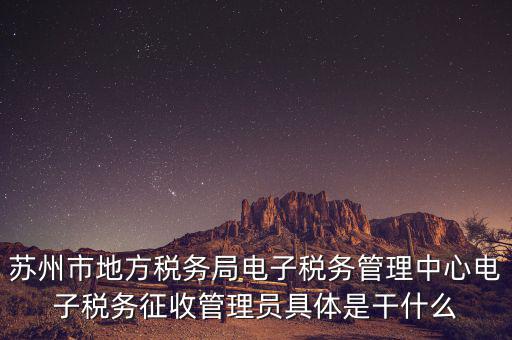 蘇州市地方稅務局電子稅務管理中心電子稅務征收管理員具體是干什么