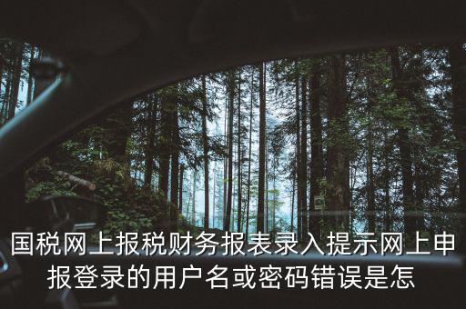 國稅網上報稅財務報表錄入提示網上申報登錄的用戶名或密碼錯誤是怎