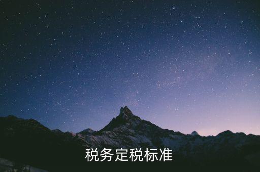 定稅是什么標(biāo)準(zhǔn)，稅務(wù)定稅標(biāo)準(zhǔn)