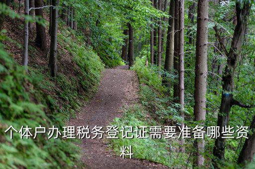 個(gè)體戶(hù)辦理稅務(wù)登記證需要準(zhǔn)備哪些資料