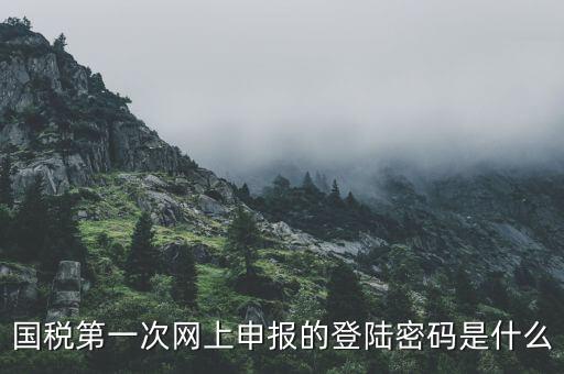 國(guó)稅第一次網(wǎng)上申報(bào)的登陸密碼是什么