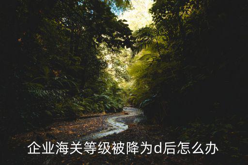 企業(yè)海關(guān)等級(jí)被降為d后怎么辦