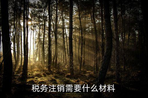 注銷金稅盤需要帶什么，注銷稅務登記證需提供哪些材料