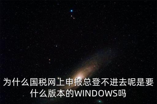 為什么國稅網(wǎng)上申報總登不進(jìn)去呢是要什么版本的WINDOWS嗎