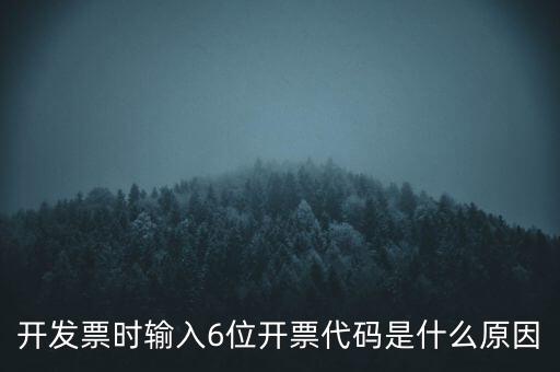 開發(fā)票時(shí)輸入6位開票代碼是什么原因