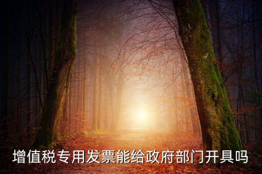 什么內(nèi)容的發(fā)票不可以給政府部門，增值稅專用發(fā)票能給政府部門開具嗎