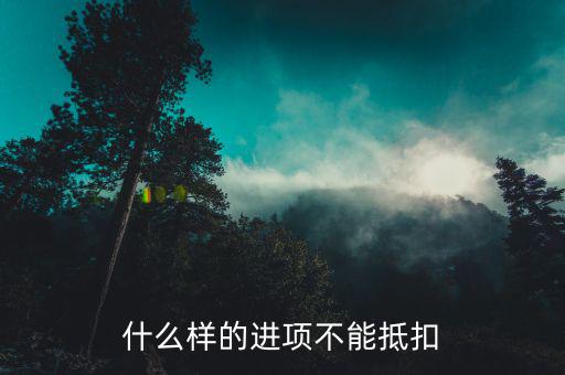 什么樣的進(jìn)項不能抵扣