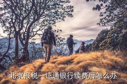 稅務(wù)一證通是什么，金稅盤和一證通有區(qū)別嗎