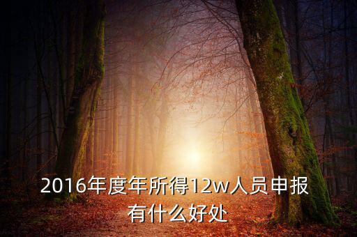 2016年度年所得12w人員申報(bào) 有什么好處