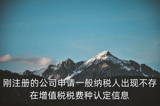 剛注冊的公司申請一般納稅人出現(xiàn)不存在增值稅稅費(fèi)種認(rèn)定信息