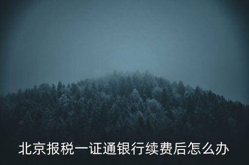 北京報(bào)稅一證通銀行續(xù)費(fèi)后怎么辦