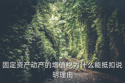 為什么用固定資產(chǎn)抵稅，固定資產(chǎn)抵稅問題