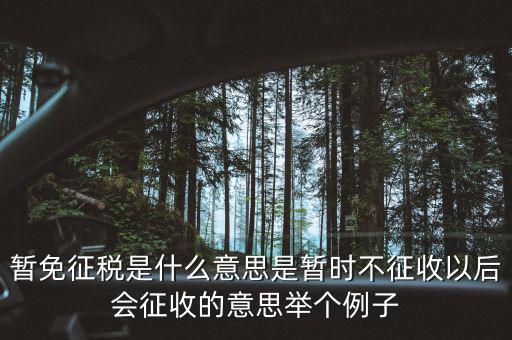 暫免征稅是什么意思是暫時不征收以后會征收的意思舉個例子