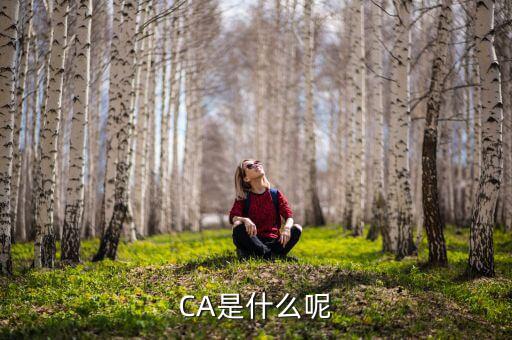 稅務(wù)ca 是什么，Ca是什么