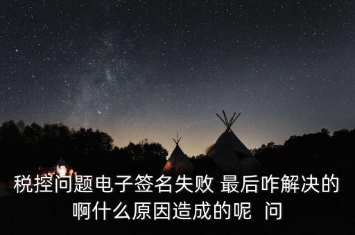 什么是稅控簽名，報稅時數(shù)字簽名是甚么意思