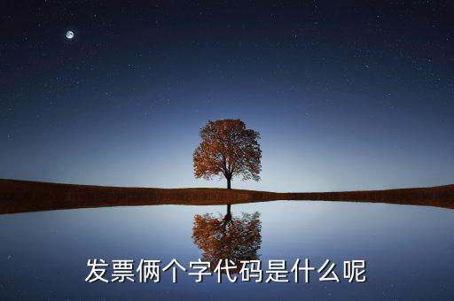 發(fā)票倆個(gè)字代碼是什么呢