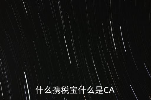 什么攜稅寶什么是CA