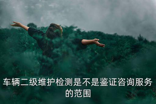 車輛二級維護檢測是不是鑒證咨詢服務(wù)的范圍