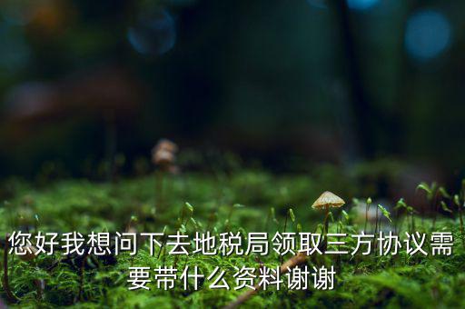 您好我想問下去地稅局領(lǐng)取三方協(xié)議需要帶什么資料謝謝