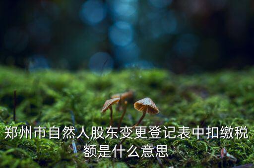 扣繳稅款登記是什么意思，應(yīng)當(dāng)按照稅收征管法等有關(guān)規(guī)定辦理扣繳稅款登記領(lǐng)取扣繳憑