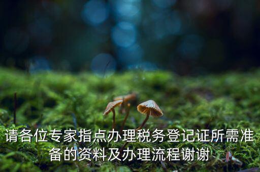 請各位專家指點辦理稅務(wù)登記證所需準(zhǔn)備的資料及辦理流程謝謝