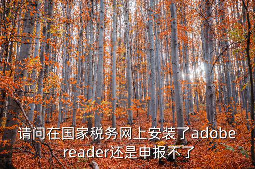 請問在國家稅務網上安裝了adobe reader還是申報不了