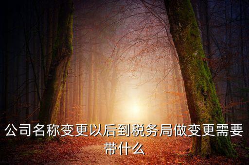 公司名稱(chēng)變更以后到稅務(wù)局做變更需要帶什么