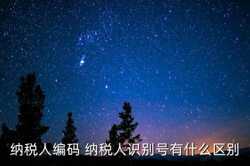 納稅人編碼 納稅人識別號有什么區(qū)別