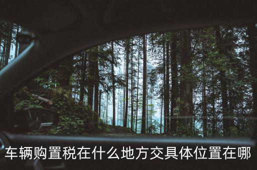 榆次汽車購(gòu)置稅在什么地方交，車輛購(gòu)置稅在什么地方交具體位置在哪