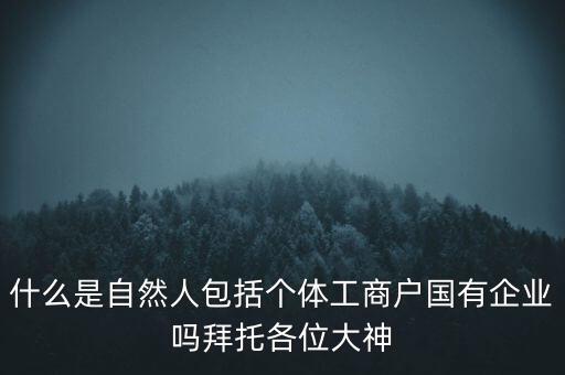 什么是稅務(wù)中的自然人，會計中自然人所指的是那種人