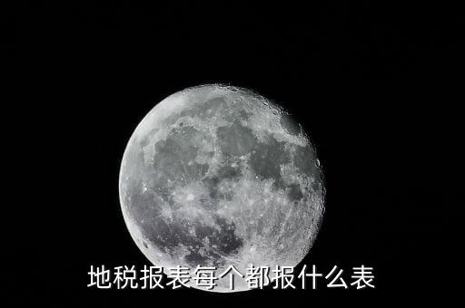 地稅報表每個都報什么表