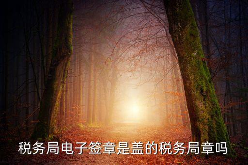 稅務(wù)局電子簽章是什么，在國稅系統(tǒng)電子簽章時為什么不是每次都提示輸入口令