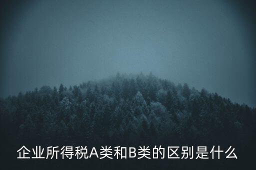 企業(yè)所得稅b類是什么意思，企業(yè)所得稅A類和B類的區(qū)別是什么