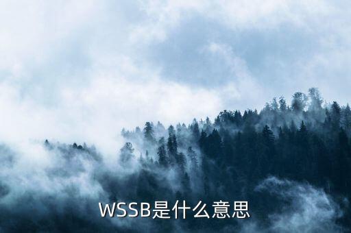 WSSB是什么意思